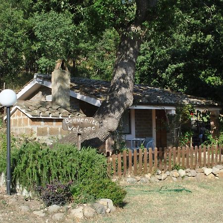 Azienda Agricola Biologica La Cardellina Tolfa Zewnętrze zdjęcie