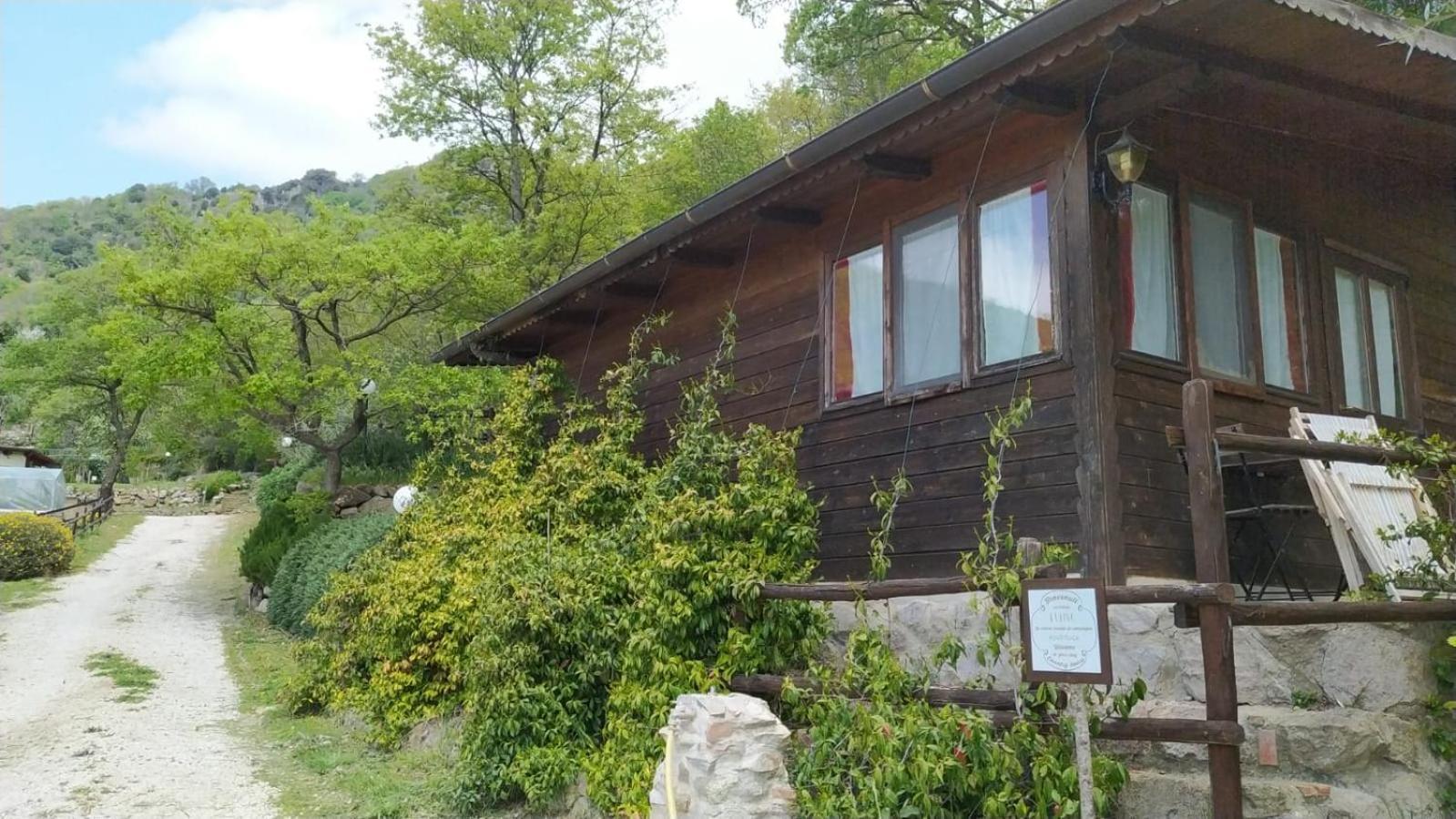 Azienda Agricola Biologica La Cardellina Tolfa Zewnętrze zdjęcie