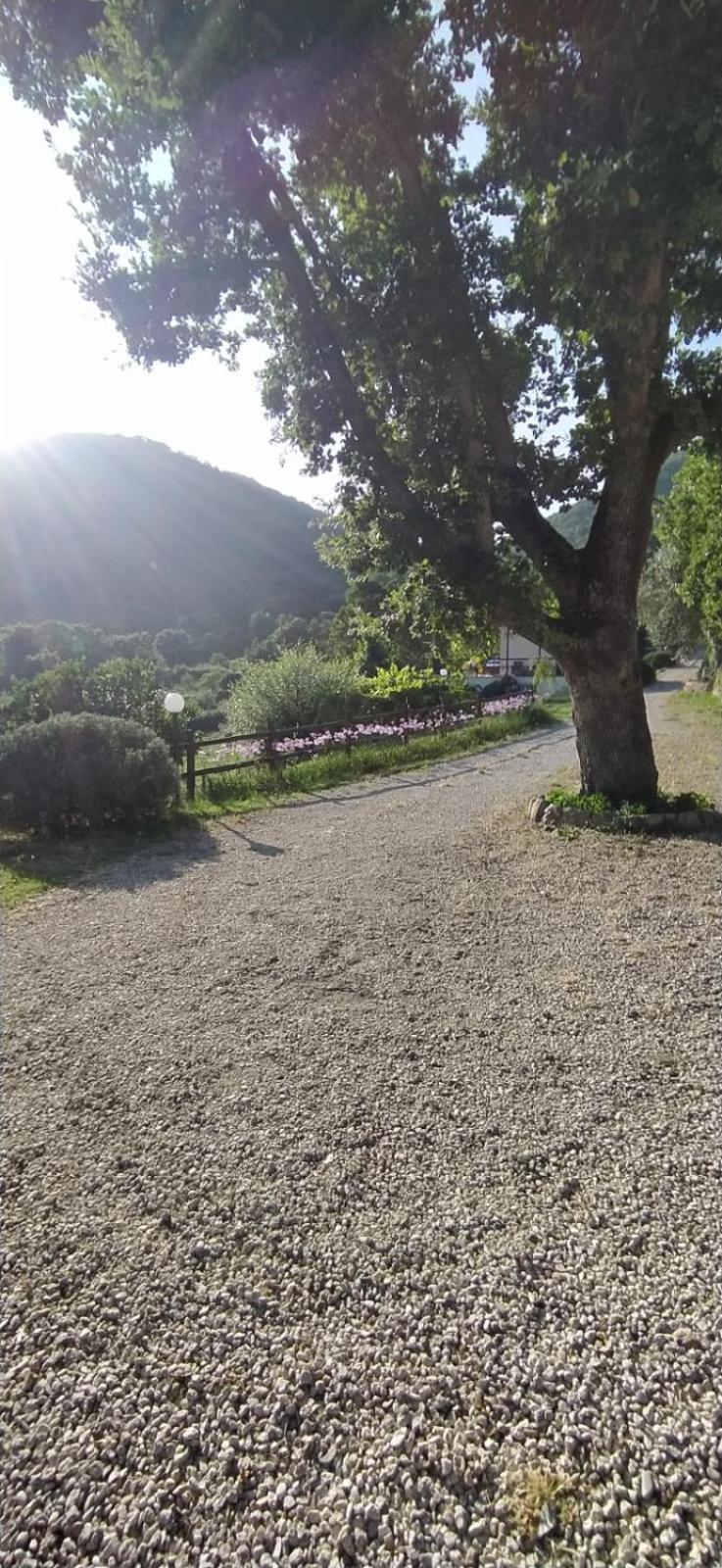 Azienda Agricola Biologica La Cardellina Tolfa Zewnętrze zdjęcie