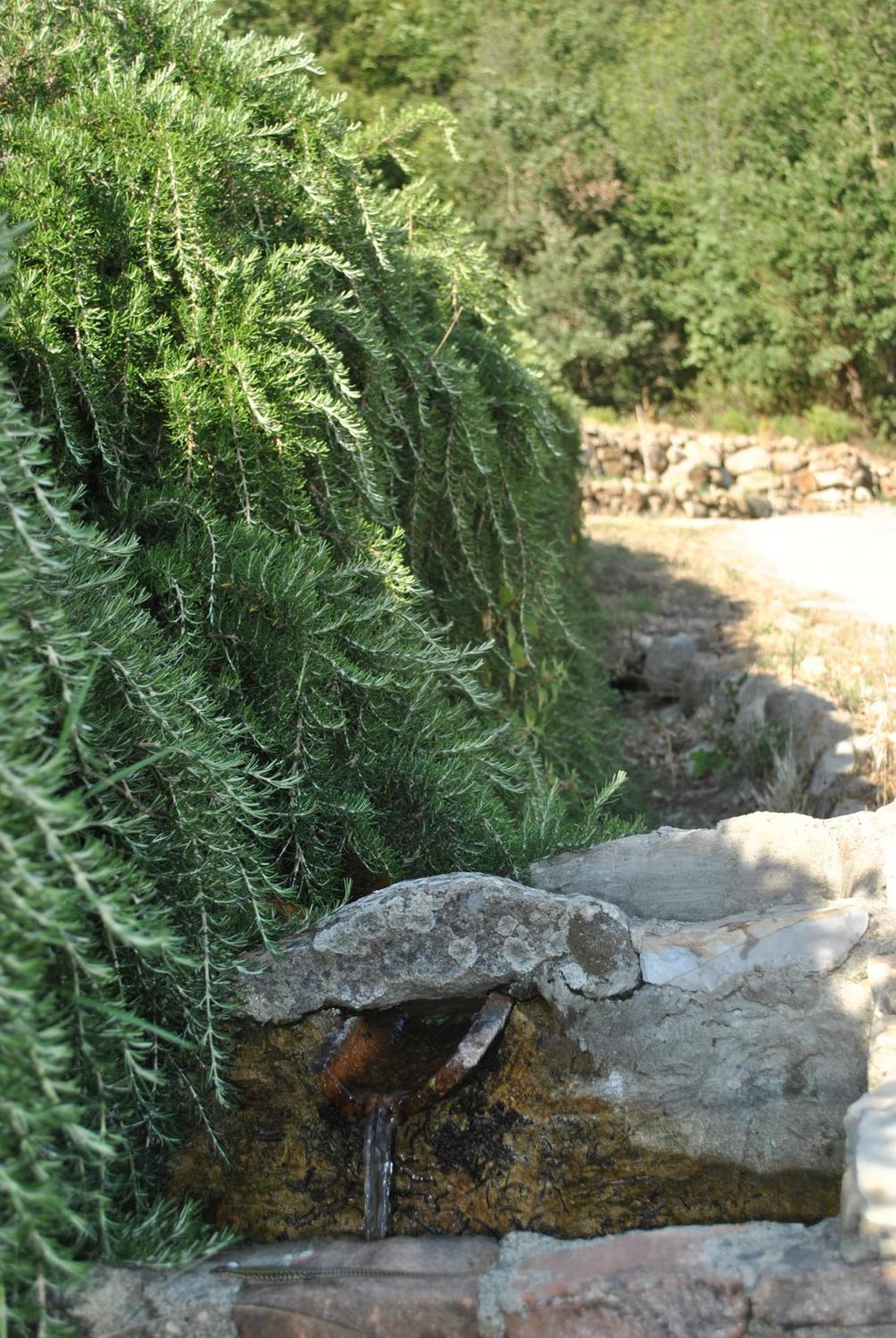 Azienda Agricola Biologica La Cardellina Tolfa Zewnętrze zdjęcie