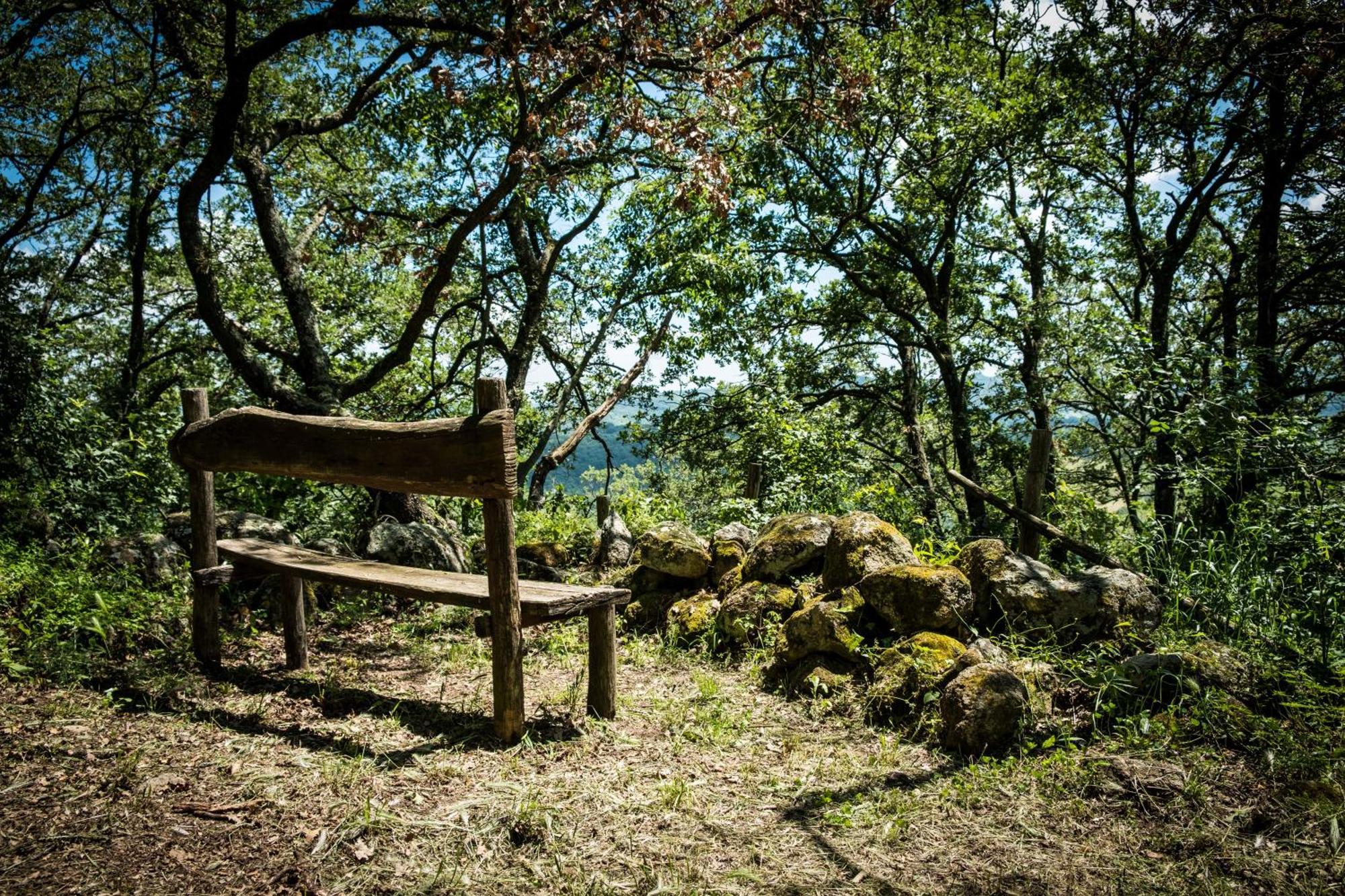 Azienda Agricola Biologica La Cardellina Tolfa Zewnętrze zdjęcie