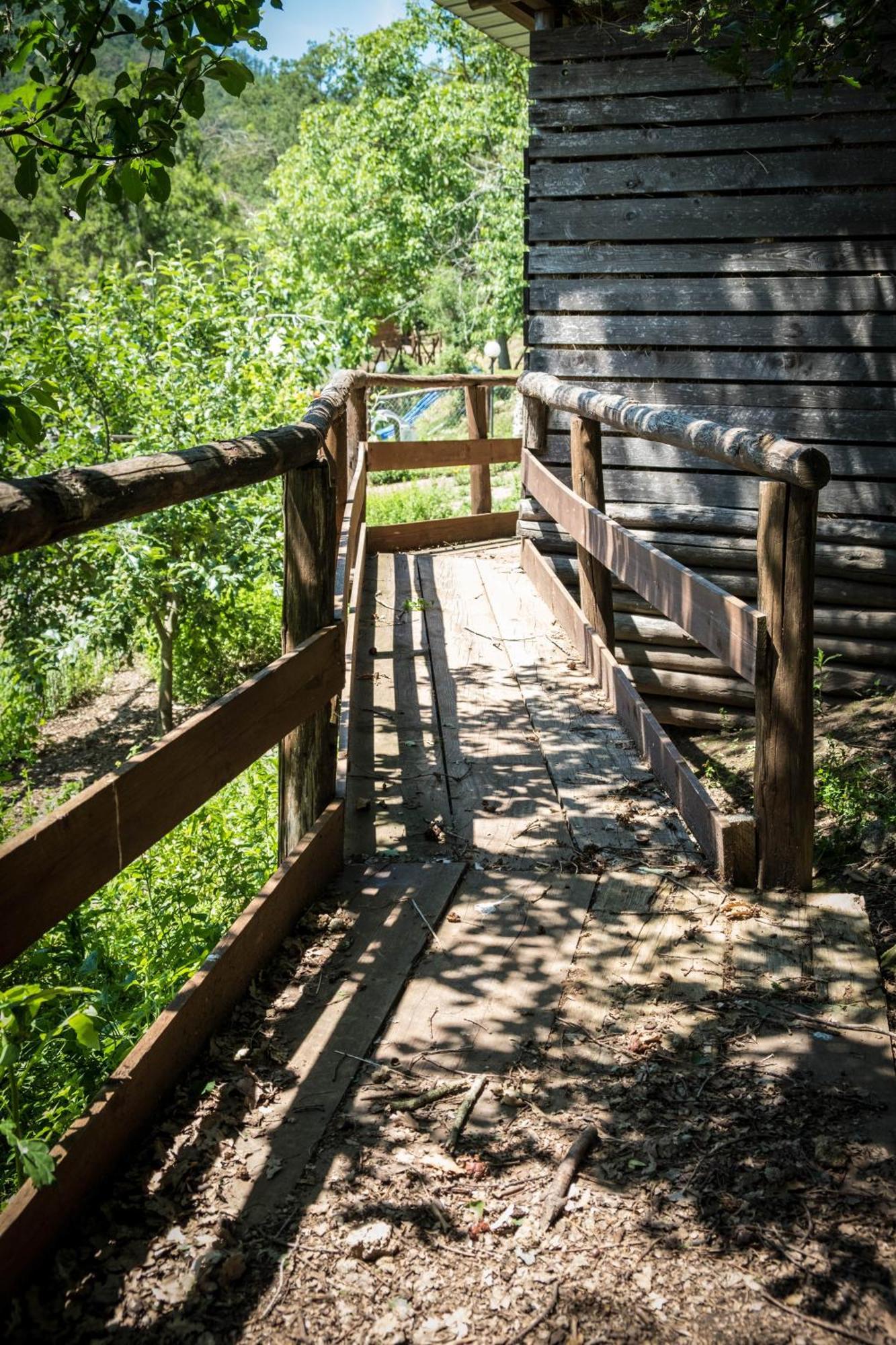 Azienda Agricola Biologica La Cardellina Tolfa Zewnętrze zdjęcie