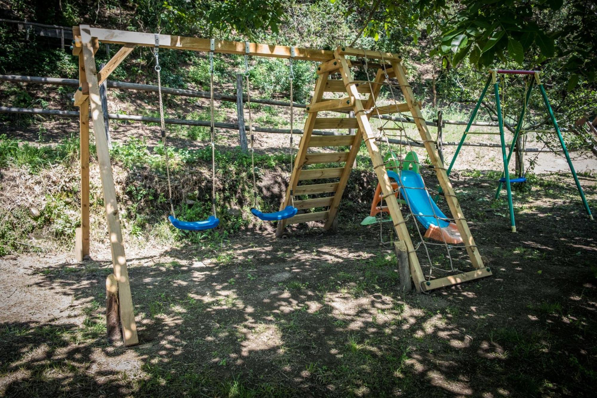 Azienda Agricola Biologica La Cardellina Tolfa Zewnętrze zdjęcie
