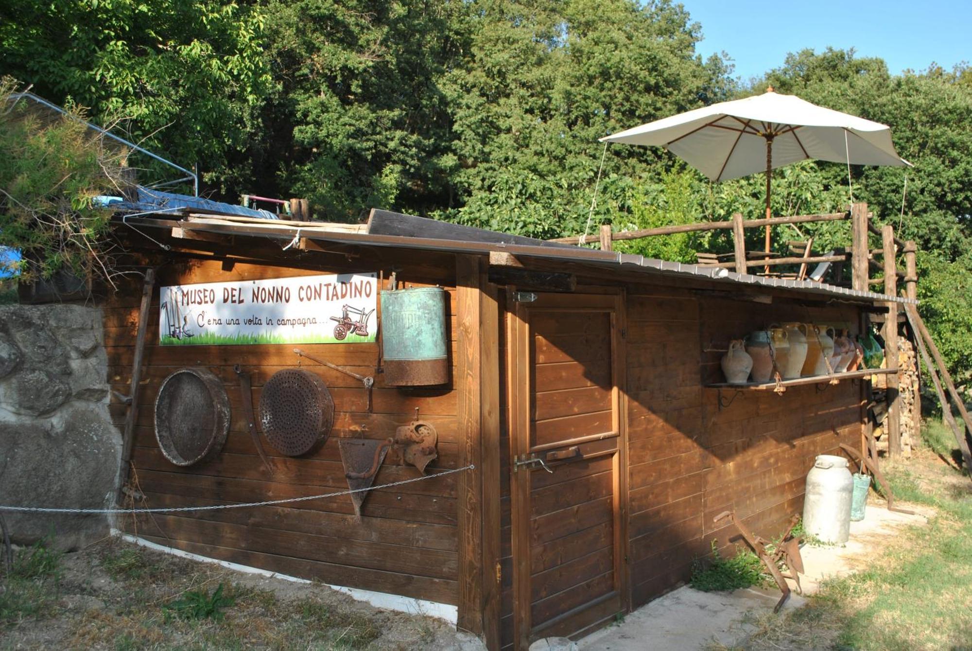 Azienda Agricola Biologica La Cardellina Tolfa Zewnętrze zdjęcie
