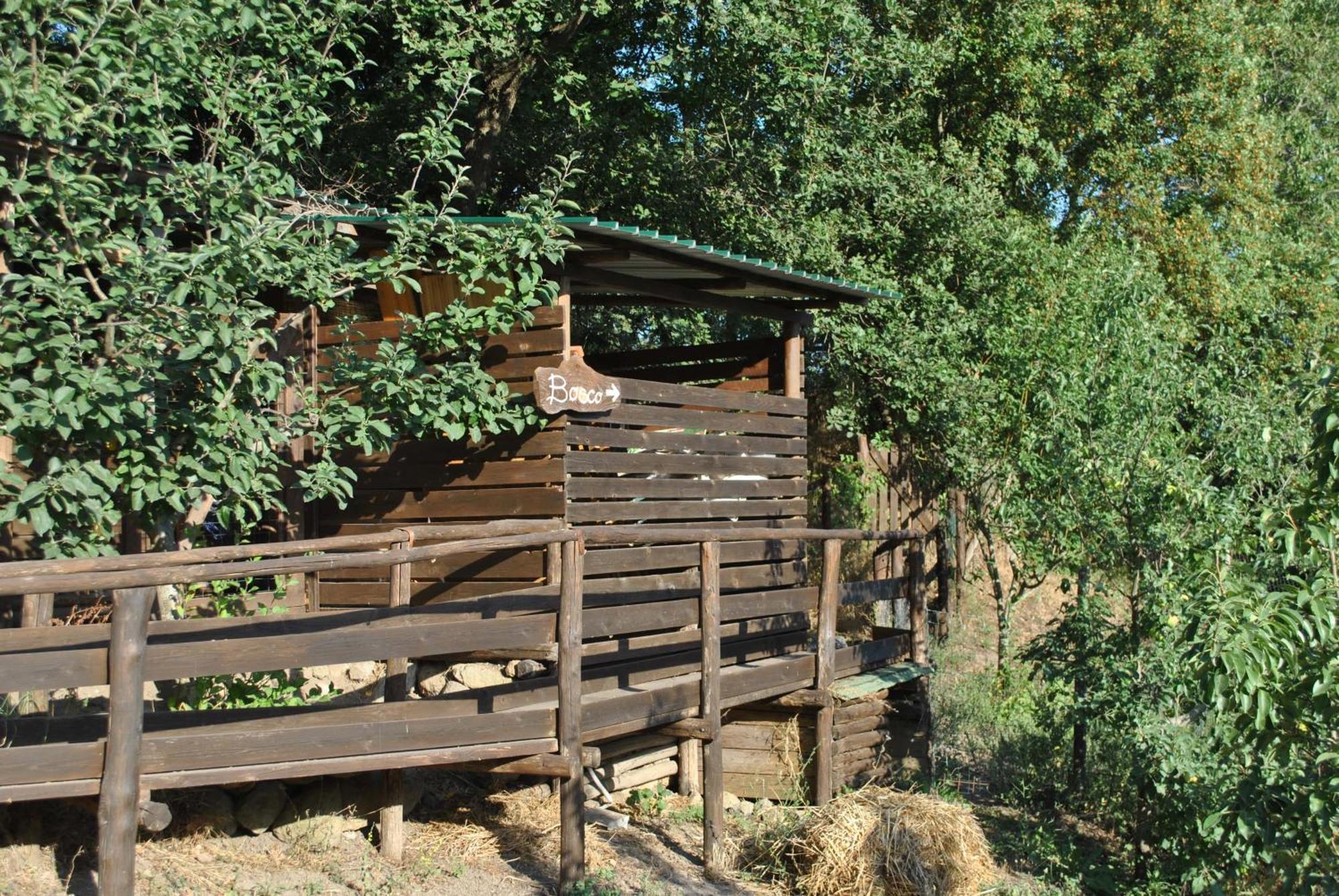 Azienda Agricola Biologica La Cardellina Tolfa Zewnętrze zdjęcie