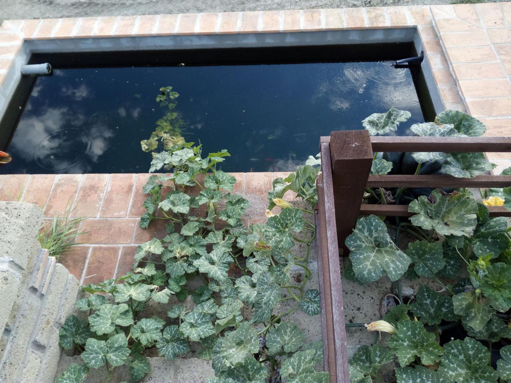 Azienda Agricola Biologica La Cardellina Tolfa Zewnętrze zdjęcie
